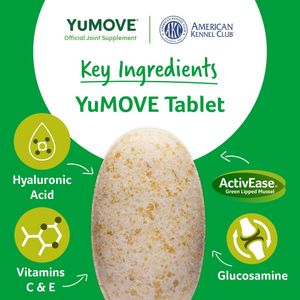 Image post by @yumove_usa on Instagram