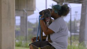 Image post by @animalplanet on Instagram