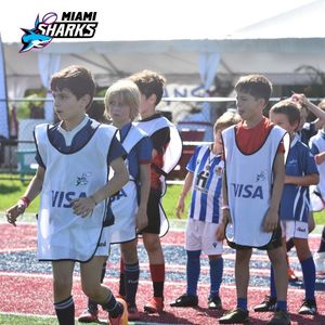 Image post by @miasharksrugby on Instagram