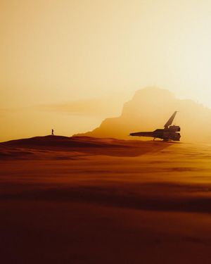 Image post by @fubiz on Instagram