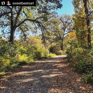 Image post by @fargoparks on Instagram