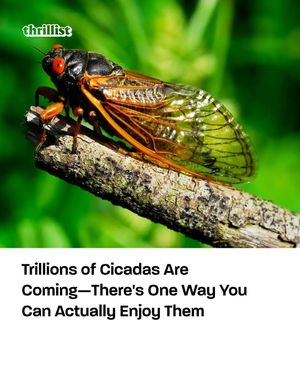 Image post by @thrillist on Instagram