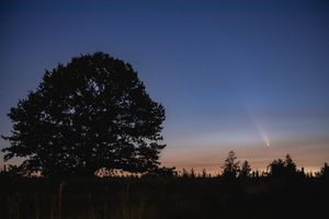 Image post by @theoregonian on Instagram