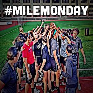 Image post by @gobearcatswbb on Instagram