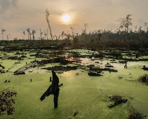 Image post by @natgeo on Instagram