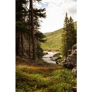 Image post by @nextridgemedia on Instagram