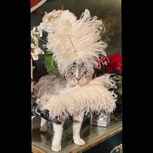 Image post by @ditavonteese on Instagram