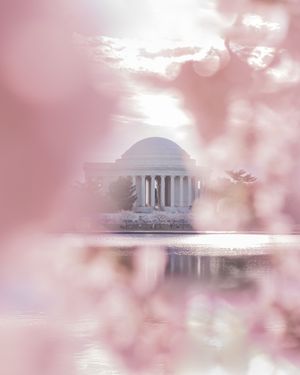 Image post by @nationalparkscollective on Instagram