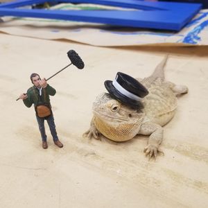 Image post by @animalplanet on Instagram