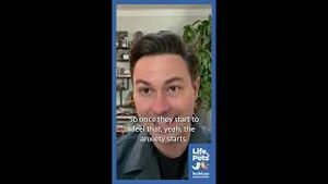 Video post by @bluebuffalo on YouTube