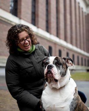 Image post by @harvard on Instagram