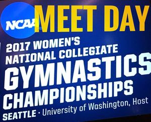 Image post by @sanjosestategym on Instagram