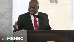Video post by @msnbc on YouTube