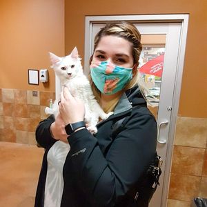 Image post by @spokhumanesoc on Instagram