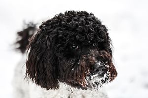 Image post by @jackportunephotography on Instagram