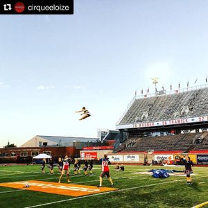Image post by @mtlalouettes on Instagram