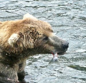 Image post by @nationalparkservice on Instagram
