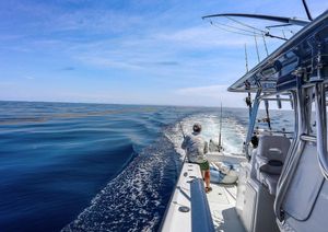 Image post by @freemanboatworks on Instagram