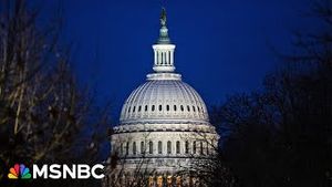 Video post by @msnbc on YouTube