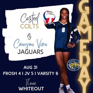 Image post by @casteelwomensvball on Instagram