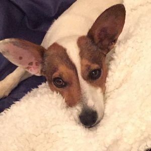 Image post by @snaffle_it on Instagram