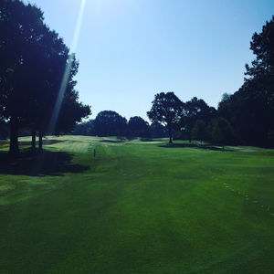 Image post by @memphismgolf on Instagram