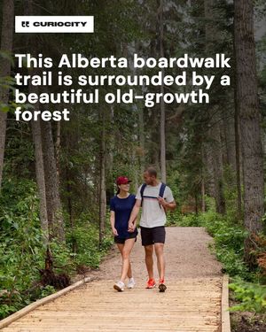Image post by @curiocitycalgary on Instagram