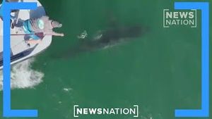 Video post by @newsnation on YouTube