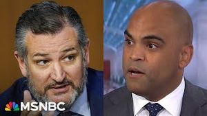 Video post by @msnbc on YouTube