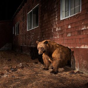 Image post by @natgeo on Instagram