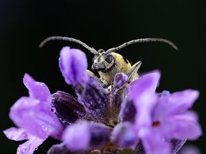 Image post by @ScienceChannel on Twitter/X