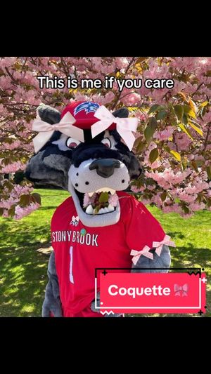 Video post by @stonybrookuniversity on TikTok