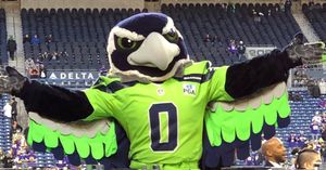 Image post by @blitztheseahawk on Instagram