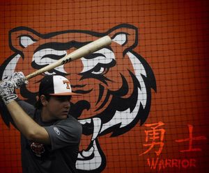 Image post by @rawlingstigers on Instagram