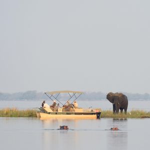 Image post by @chiawasafaris on Instagram