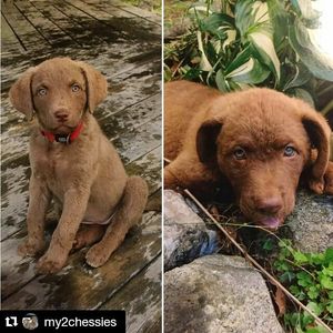 Image post by @umbclife on Instagram