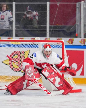 Image post by @swissicehockeyfederation on Instagram