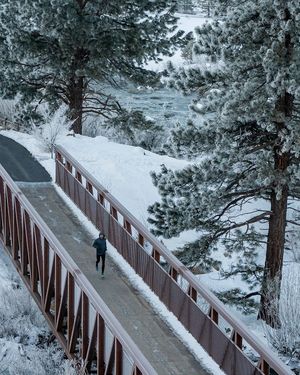 Image post by @runinrabbit on Instagram