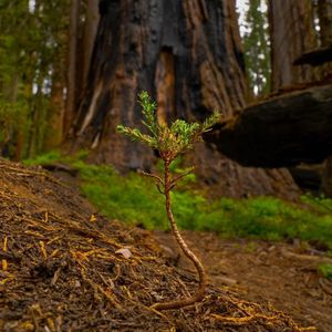 Image post by @nationalparkservice on Instagram