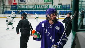 Image post by @NiagaraMHKY on Twitter/X
