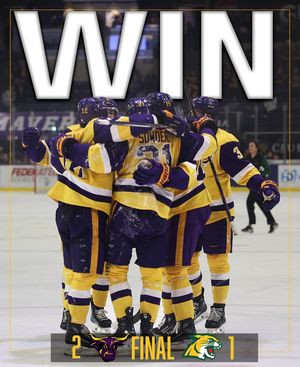 Image post by @minnstmhockey on Instagram