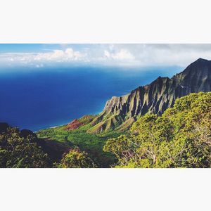 Image post by @olukai on Instagram