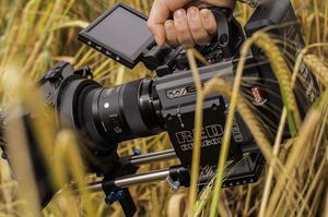 Image post by @reddigitalcinema on Instagram