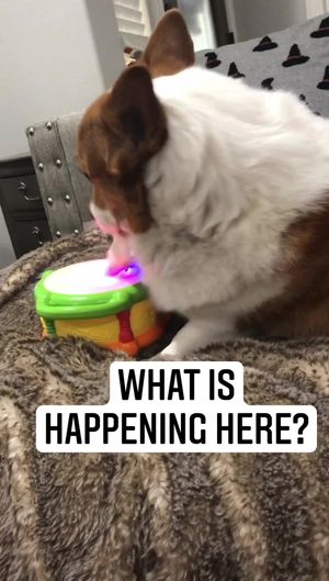 Video post by @mtzler on Facebook