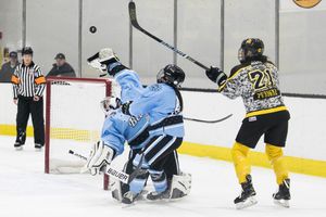 Image post by @buffalobeauts on Instagram