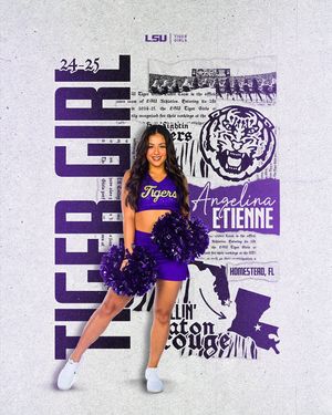 Image post by @lsutigergirls on Instagram