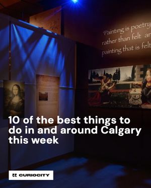 Image post by @curiocitycalgary on Instagram