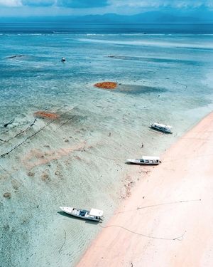 Image post by @dronepals on Instagram