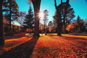Image post by @nauflagstaff on Instagram