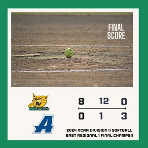 Image post by @delawaresportsblitz on Instagram